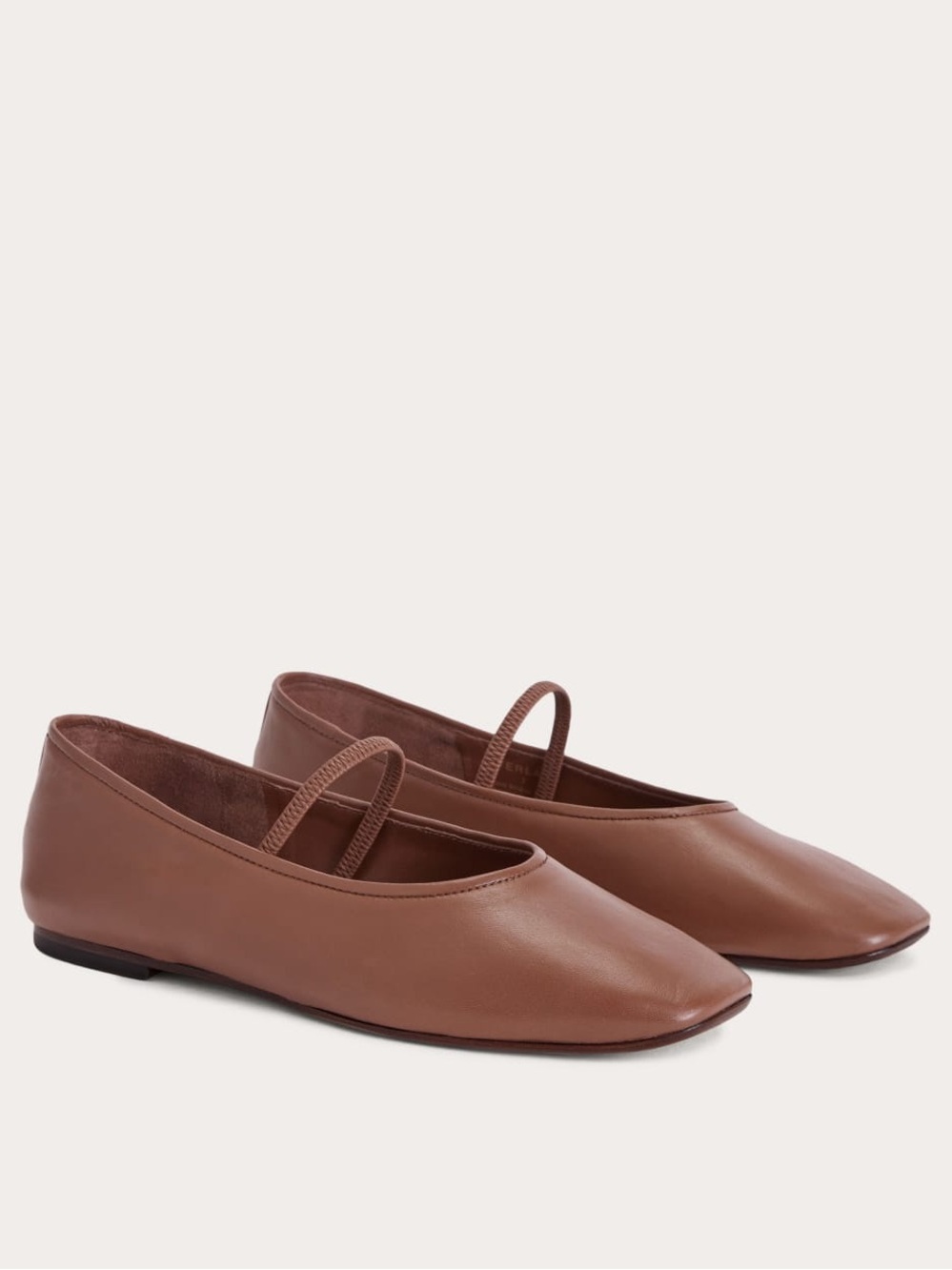 NIB Everlane The Day Mary Jane